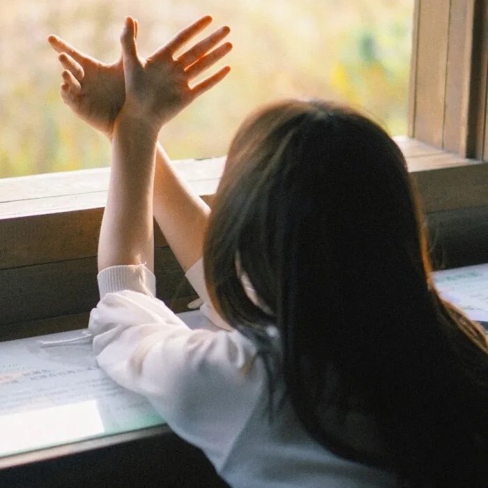 重生七零我把妻女宠上天